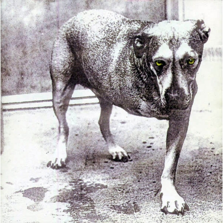 alice in chains - alice in chains cd.jpg