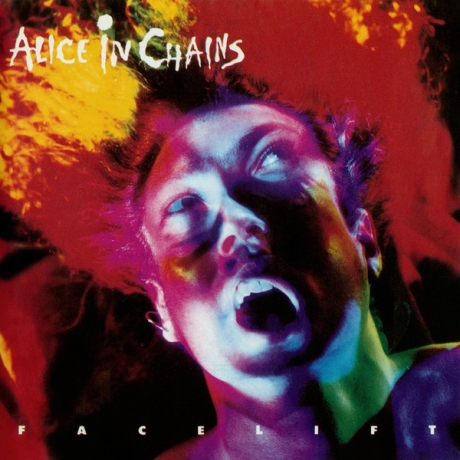 alice in chains - facelift cd.jpg