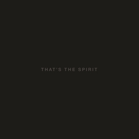 bring me the horizon - thats the spirit cd.jpg