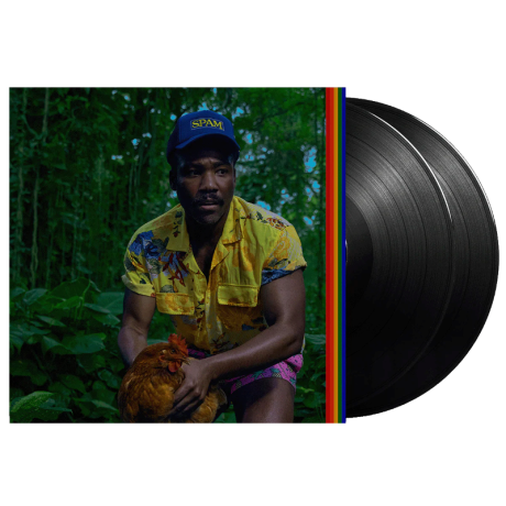 childish gambino - bando stone and the new world 2LP.png