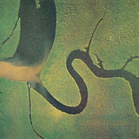 dead can dance the serpents egg LP.jpg
