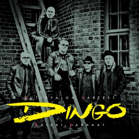 dingo - autiotalon aarteet gold 2LP.jpg