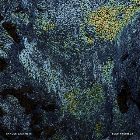 sander saarmets - bleu precieux LP.jpg