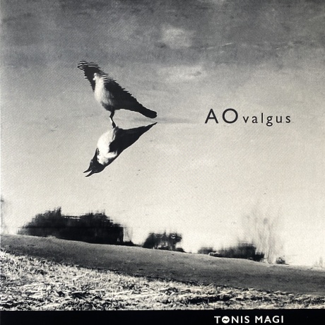 tõnis mägi - ao valgus LP.jpeg