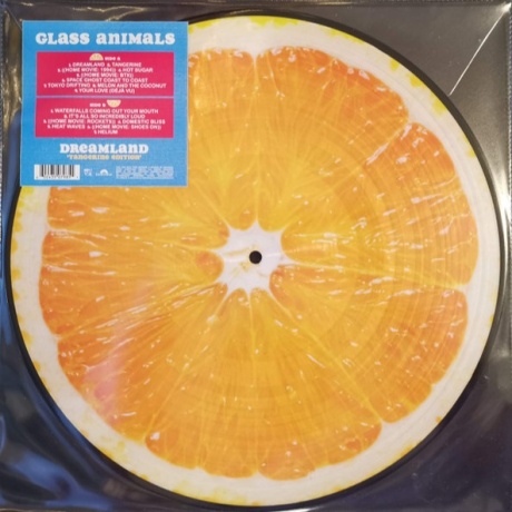 glass animals - dreamland tangerine LP.jpg