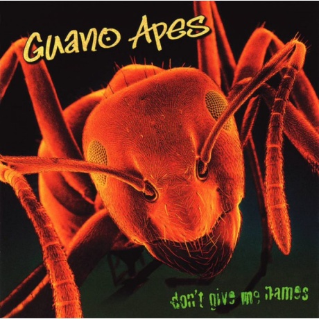 guano apes - dont give me names LP.jpg