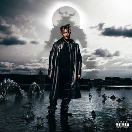 juice wrld - fighting demons 2LP.jpg