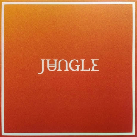 jungle - volcano LP.jpg