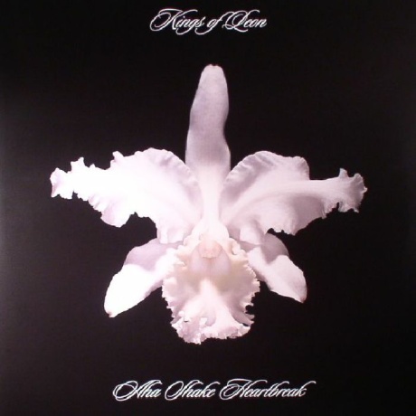 kings of leon - aha shake heartbreak LP.jpg