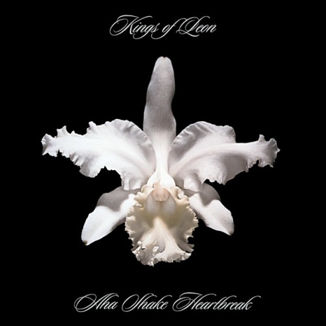 kings of leon - aha shake heartbreak cd.jpg