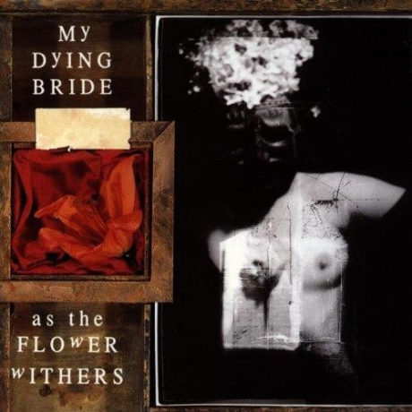 my dying bride - as the flower withers cd.jpg