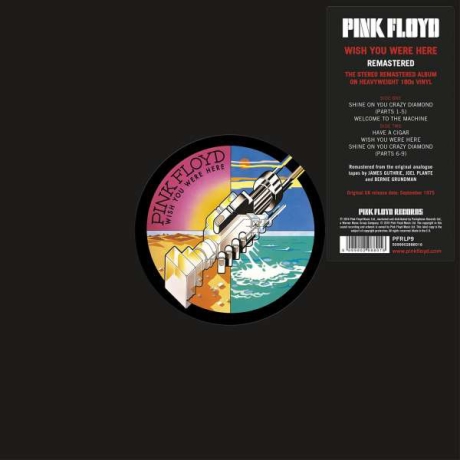 pink floyd - wish you were here LP.jpg