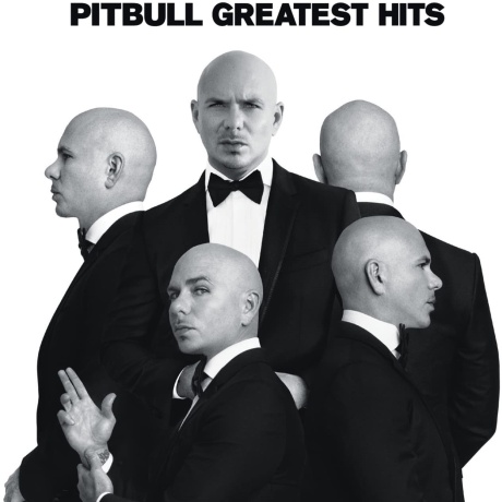 pitbull - greatest hits LP.jpg