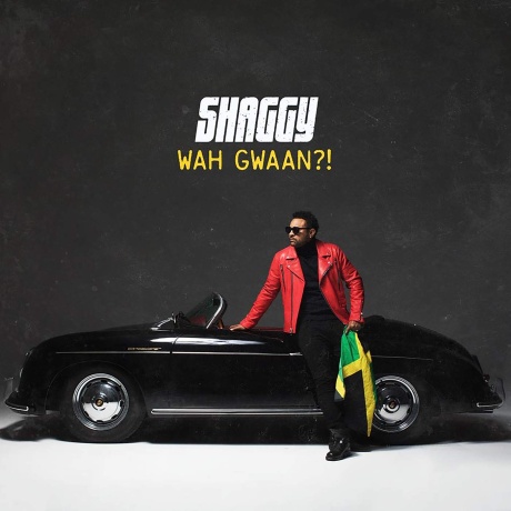 shaggy - wah gwaan 2LP.jpg
