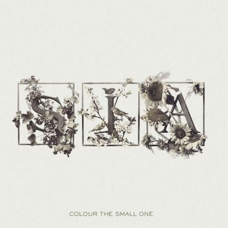 sia - colour the small one rsd special 2LP.jpg