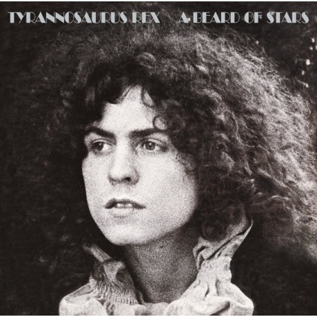 tyrannosaurus rex - a beard of stars CD.jpg