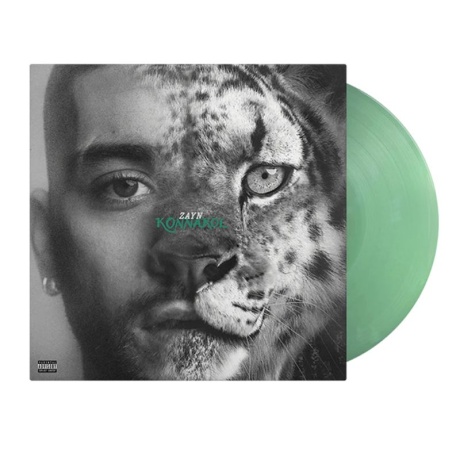 zayn - konnakol LP.jpg