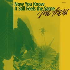 PIA FRAUS - Now You Know It Still Feels The Same LP