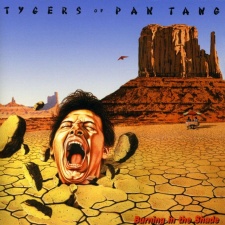 TYGERS OF PAN TANG - Burning In The Shade (Red-Yellow Splatter Vinyl) LP