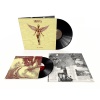 nirvana - in utero 2LP 30th anniversary.jpg